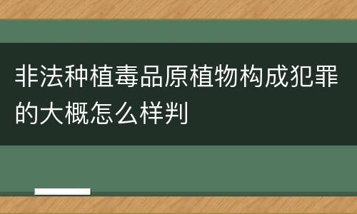 非法种植毒品原植物构成犯罪的大概怎么样判