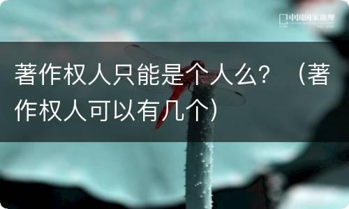 著作权人只能是个人么？（著作权人可以有几个）