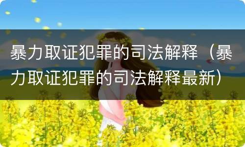 暴力取证犯罪的司法解释（暴力取证犯罪的司法解释最新）