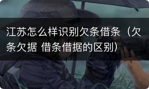 江苏怎么样识别欠条借条（欠条欠据 借条借据的区别）