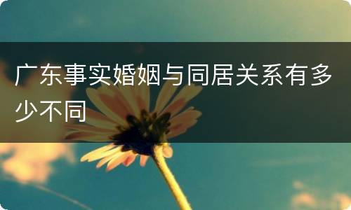 广东事实婚姻与同居关系有多少不同