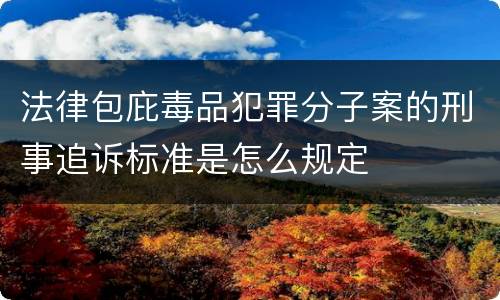 法律包庇毒品犯罪分子案的刑事追诉标准是怎么规定