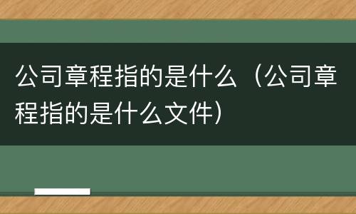 公司章程指的是什么（公司章程指的是什么文件）
