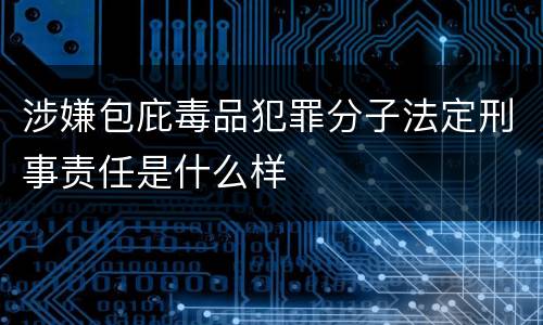 涉嫌包庇毒品犯罪分子法定刑事责任是什么样