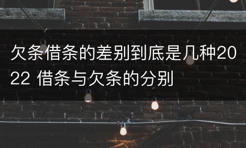 欠条借条的差别到底是几种2022 借条与欠条的分别