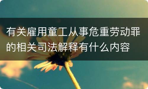 有关雇用童工从事危重劳动罪的相关司法解释有什么内容