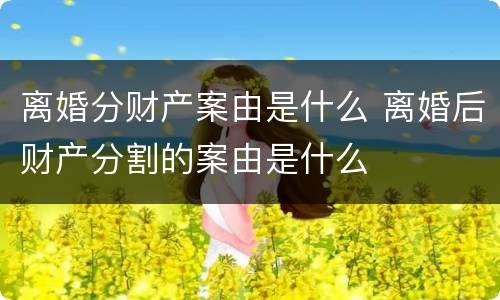 离婚分财产案由是什么 离婚后财产分割的案由是什么