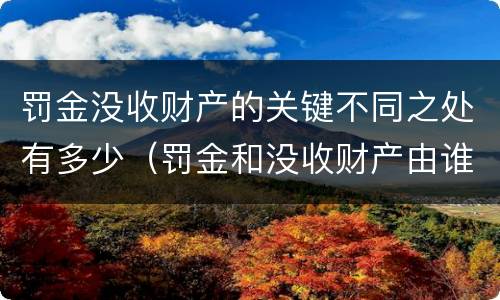 罚金没收财产的关键不同之处有多少（罚金和没收财产由谁执行）