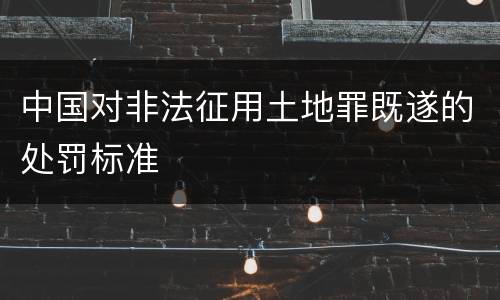 中国对非法征用土地罪既遂的处罚标准