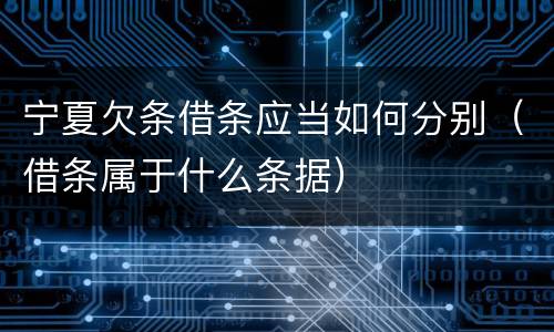 宁夏欠条借条应当如何分别（借条属于什么条据）