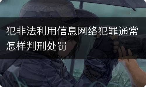 犯非法利用信息网络犯罪通常怎样判刑处罚