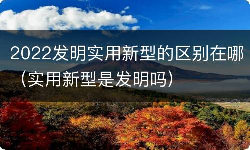 2022发明实用新型的区别在哪（实用新型是发明吗）