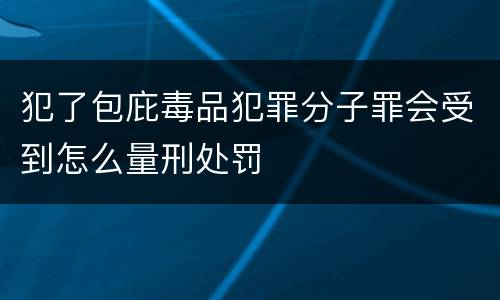 犯了包庇毒品犯罪分子罪会受到怎么量刑处罚