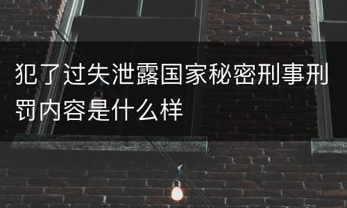 犯了过失泄露国家秘密刑事刑罚内容是什么样
