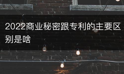 2022商业秘密跟专利的主要区别是啥