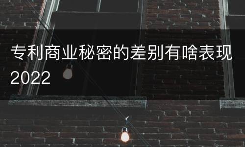 专利商业秘密的差别有啥表现2022