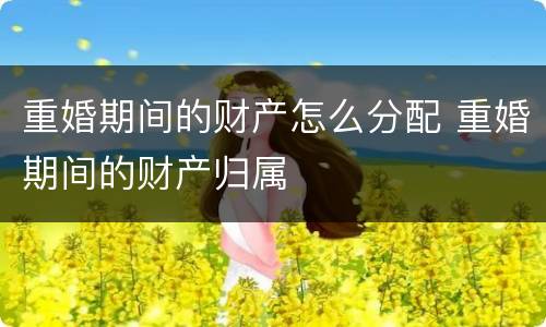 重婚期间的财产怎么分配 重婚期间的财产归属
