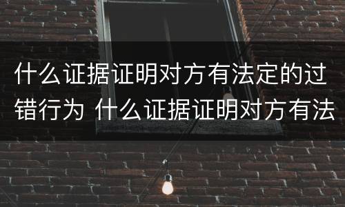 什么证据证明对方有法定的过错行为 什么证据证明对方有法定的过错行为能力