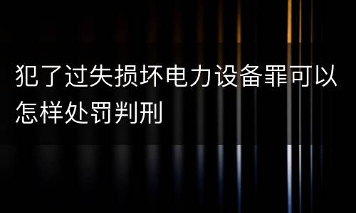 犯了过失损坏电力设备罪可以怎样处罚判刑