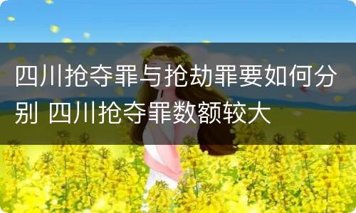四川抢夺罪与抢劫罪要如何分别 四川抢夺罪数额较大