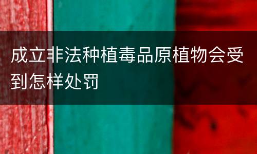 成立非法种植毒品原植物会受到怎样处罚