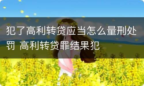 犯了高利转贷应当怎么量刑处罚 高利转贷罪结果犯