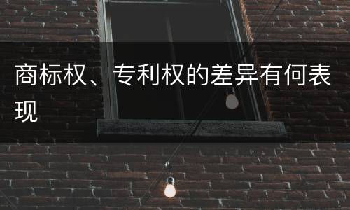 商标权、专利权的差异有何表现
