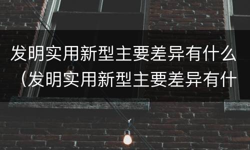 发明实用新型主要差异有什么（发明实用新型主要差异有什么作用）