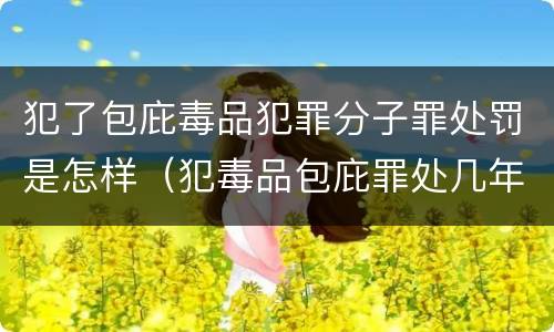 犯了包庇毒品犯罪分子罪处罚是怎样（犯毒品包庇罪处几年徒刑）