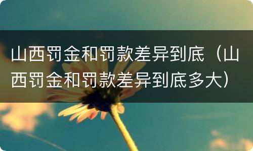 山西罚金和罚款差异到底（山西罚金和罚款差异到底多大）