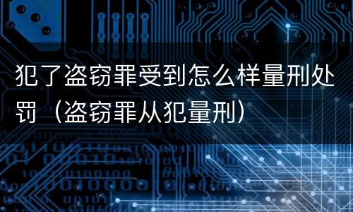 犯了盗窃罪受到怎么样量刑处罚（盗窃罪从犯量刑）