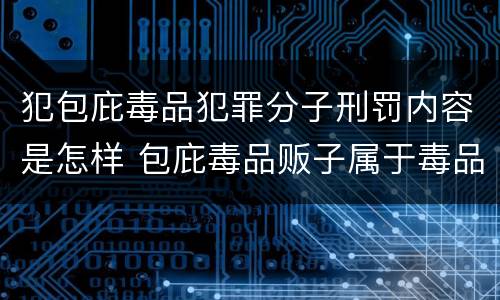 犯包庇毒品犯罪分子刑罚内容是怎样 包庇毒品贩子属于毒品犯罪吗
