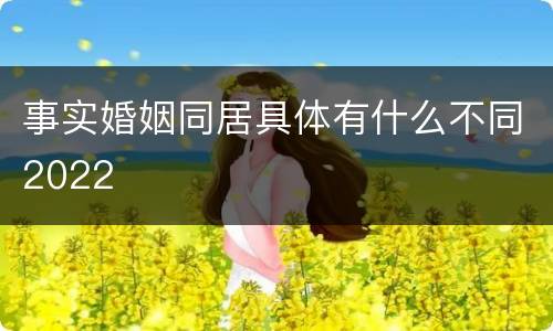 事实婚姻同居具体有什么不同2022