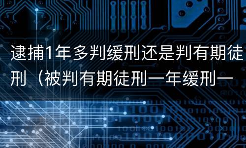 逮捕1年多判缓刑还是判有期徒刑（被判有期徒刑一年缓刑一年）