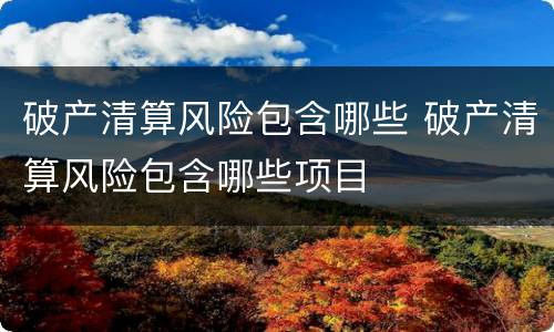 破产清算风险包含哪些 破产清算风险包含哪些项目