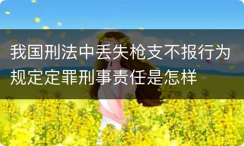 我国刑法中丢失枪支不报行为规定定罪刑事责任是怎样