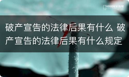 破产宣告的法律后果有什么 破产宣告的法律后果有什么规定