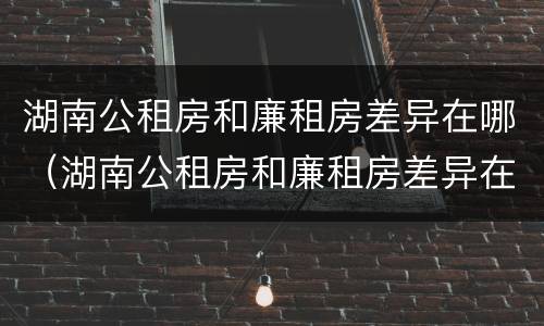 湖南公租房和廉租房差异在哪（湖南公租房和廉租房差异在哪查询）