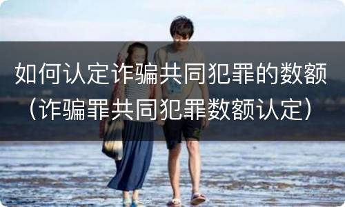 如何认定诈骗共同犯罪的数额（诈骗罪共同犯罪数额认定）