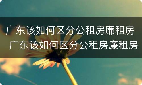 广东该如何区分公租房廉租房 广东该如何区分公租房廉租房和商品房