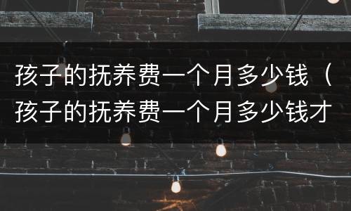 孩子的抚养费一个月多少钱（孩子的抚养费一个月多少钱才够）
