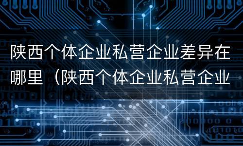 陕西个体企业私营企业差异在哪里（陕西个体企业私营企业差异在哪里查）