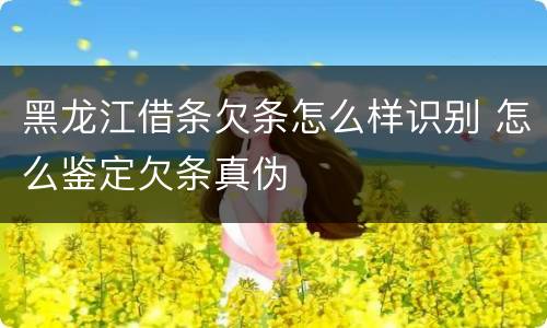 黑龙江借条欠条怎么样识别 怎么鉴定欠条真伪