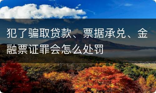 犯了骗取贷款、票据承兑、金融票证罪会怎么处罚