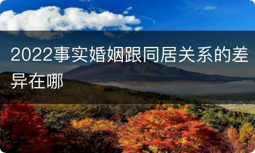 2022事实婚姻跟同居关系的差异在哪