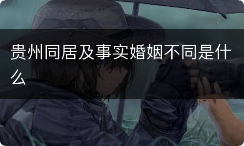 贵州同居及事实婚姻不同是什么
