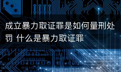 成立暴力取证罪是如何量刑处罚 什么是暴力取证罪