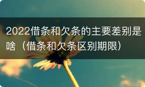 2022借条和欠条的主要差别是啥（借条和欠条区别期限）