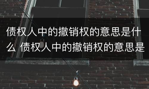 债权人中的撤销权的意思是什么 债权人中的撤销权的意思是什么呢