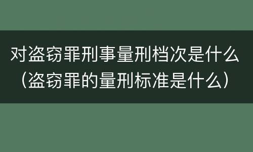 对盗窃罪刑事量刑档次是什么（盗窃罪的量刑标准是什么）